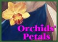 OP Logo